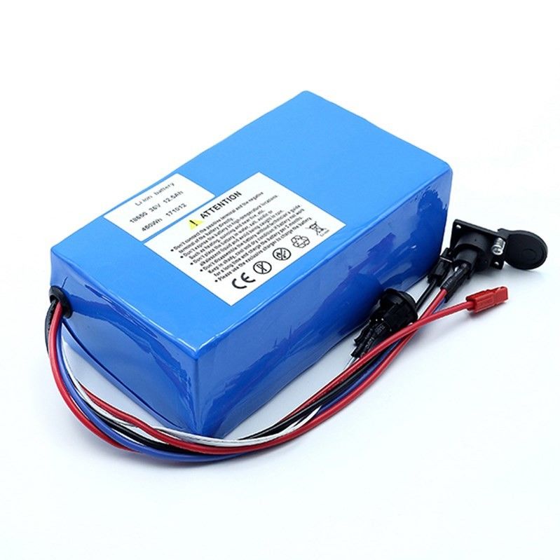 SGS 13s 48v 24Ah 21700 Li Polymer Battery Pack BIS IEC62133